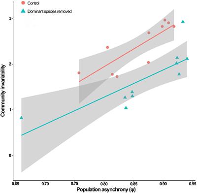 Independent Effects of Species Removal and Asynchrony on Invariability of an Intertidal Rocky Shore Community